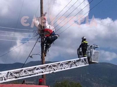 Λάρισα: Αλεξιπτωτιστής κατέληξε σε… κολώνα