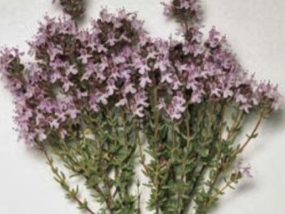 Φτιάξτε μόνες σας σαπούνι με θυμάρι