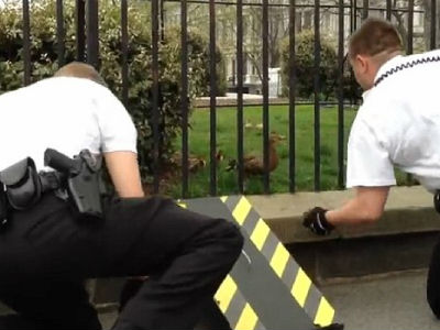 Αυξημένα μέτρα ασφαλείας στον Λευκό Οίκο