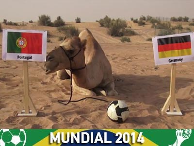 Η καμήλα… πρότεινε Πορτογαλία