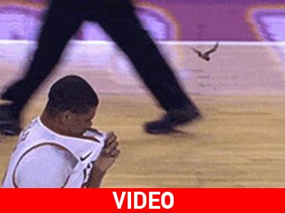 Νυχτερίδα διέκοψε αγώνα μπάσκετ