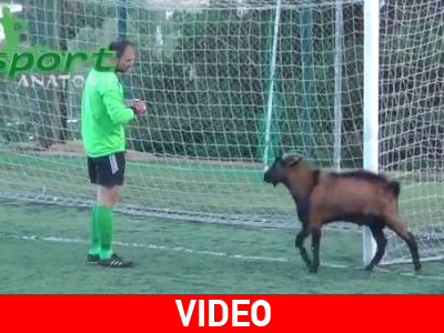 Ποδοσφαιρόφιλος… τράγος εισέβαλε σε αγωνιστικό χώρο