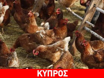 «Συναγερμός για την ψευδοπανώλη»