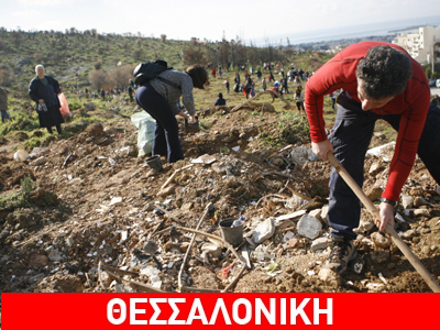Αναδάσωση την Κυριακή στο Σέιχ Σου