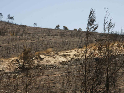 Οι πολλές προτάσεις καθυστερούν το νομοσχέδιο