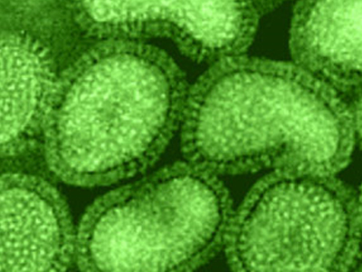 «Θερίζει» η γρίπη στη Γαλλία