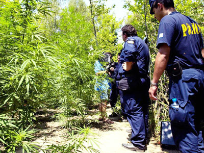 Συνεργάσιμος μετά τη σύλληψη