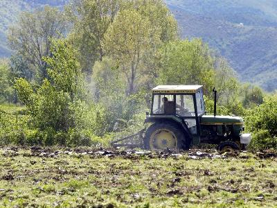 ΕΛΓΑ:Καταβολή αποζημιώσεων για ζημιές του 2012