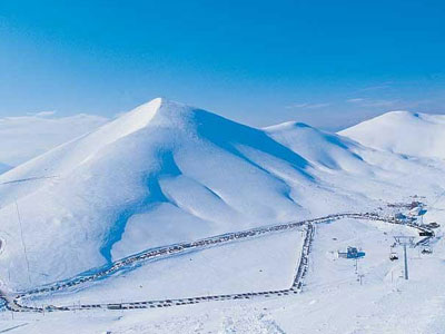 Φαλακρό από την φύση… ορφανό από πόρους!