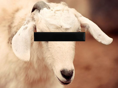 Βρετανία: Στη φυλακή για βιασμό κατσίκας