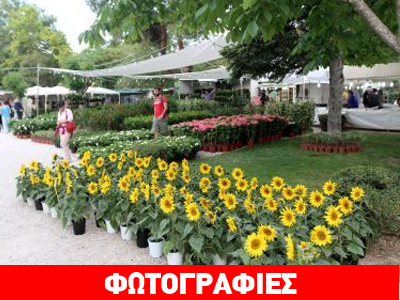 Ανθοκομική έκθεση Κηφισιάς