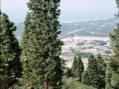 «Κυνηγούν» ακόμα και τους πεθαμένους