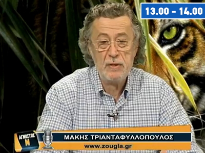 13.00-14.00 «Άγνωστος Μ»