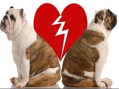 Πέντε λόγοι να του δώσεις τα παπούτσια στο χέρι