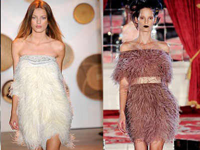 Φτερά και πούπουλα!