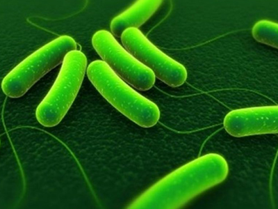 Μικρόβια μέσα στο σπίτι