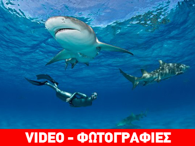 Φάτε μάτια ψάρια… Φάτε μάτια ψάρια…