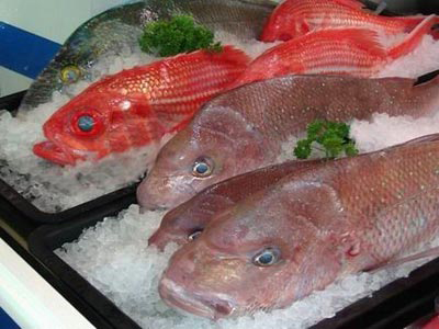 Ψάρια: Μάθετε με ποια κριτήρια θα ξεχωρίζετε τα φρέσκα