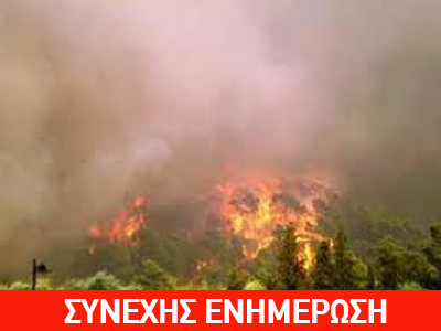 Εύβοια: Πυρκαγιά στον Θεολόγο – Καίγονται ελαιώνες