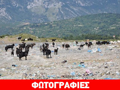 Κύμη: Μετατρέποντας τον σκουπιδότοπο σε βοσκότοπο
