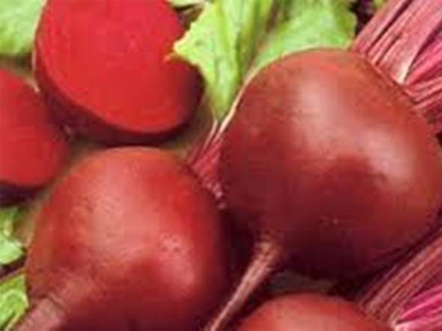 Παντζάρια για αντοχή