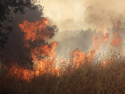 Σε εξέλιξη πυρκαγιά στη Βούλα