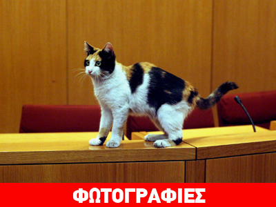 Η Ρεγγίνα της ΓΣΕΕ!