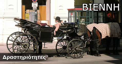 Δραστηριότητες στη Βιέννη!