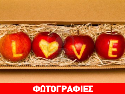 Είναι από τα Χανιά και «πουλάει έρωτα» στο Μόντρεαλ Είναι από τα Χανιά και «πουλάει έρωτα» στο Μόντρεαλ