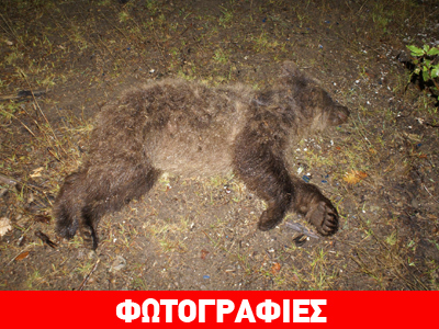 Δεν πρόλαβε να διασχίσει τον δρόμο…