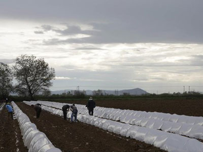 Ευρωπαϊκό Δικαστήριο: Να επιστραφούν ενισχύσεις ύψους 387,4 εκατ. ευρώ