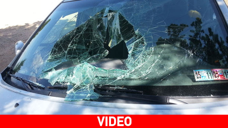 ΗΠΑ: Αρκούδα κλειδώθηκε σε αυτοκίνητο και το διέλυσε