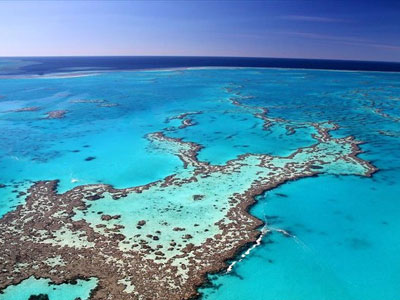 Απειλείται με καταστροφή ο Μεγάλος Κοραλλιογενής Ύφαλος