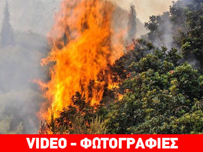 Χίος: Πυρκαγιά ξέσπασε στην Ερυθιανή