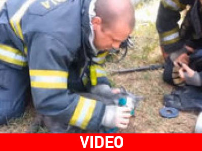 Έσωσαν γάτα με… μάσκα οξυγόνου!