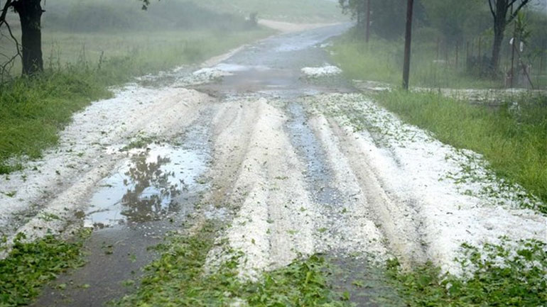 Ζημιές σε καλλιέργειες από χαλάζι σε Αρκαδία και Μεσσηνία