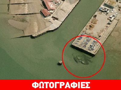 Καβούρι-γίγαντας κάνει την εμφάνισή του στη Βρετανία