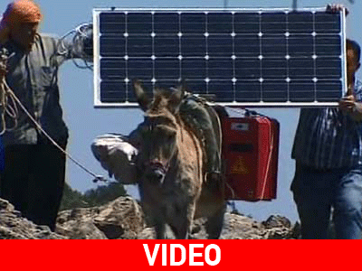 «Φόρεσαν» φωτοβολταϊκά σε… γαϊδούρια για να είναι μόνιμα online