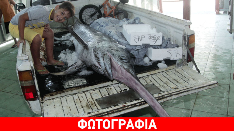 Ψάρεψαν ξιφία 360 κιλών στον Αστακό