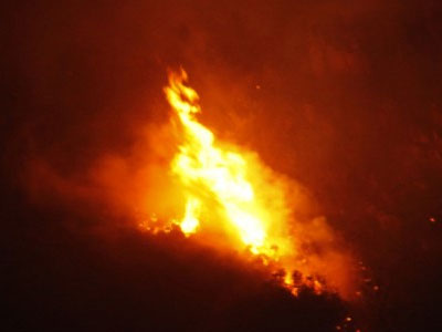 Φθιώτιδα: Φωτιά ξέσπασε στην περιοχή της Δαμάστας