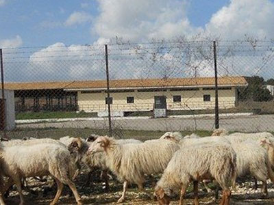 Κρούσμα μαζικής δηλητηρίασης ζώων στις Σέρρες