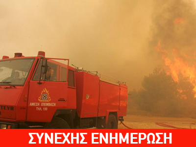 Πυρκαγιά στην Επίδαυρο