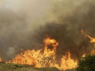 Υπό μερικό έλεγχο οι φωτιές σε Λάρισα και Βόλο