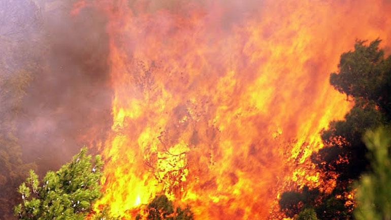 Βρετανός τουρίστας έβαζε φωτιές σε δασική περιοχή στις Αφίδνες «επειδή ήταν μεθυσμένος»