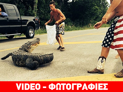 Μεθυσμένος πήγε να μετακινήσει αλιγάτορα με… γυμνά χέρια!