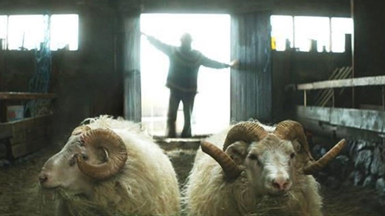 Φεστιβάλ Καννών: Η ταινία «Hrutar» απέσπασε το βραβείο στο τμήμα «Ένα Κάποιο Βλέμμα»