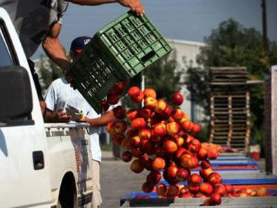 ΕΕ: Οικονομική ενίσχυση 165 εκατ. ευρώ σε αγρότες