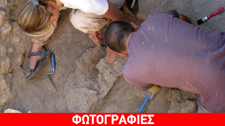 Μεγαλόπολη: Σημαντικά ευρήματα της Κατώτερης Παλαιολιθικής Περιόδου