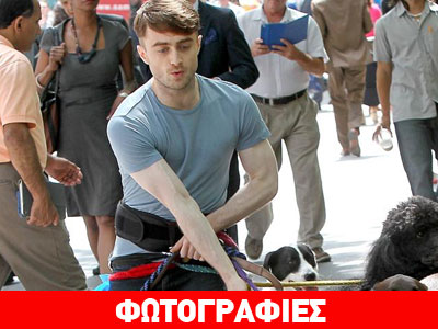 Ο Χάρι Πότερ αντιμέτωπος με…. 12 σκυλιά!