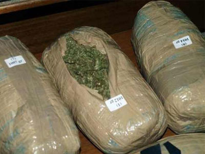 Θεσπρωτία: Σύλληψη 23χρονου για μεταφορά και εμπορία κάνναβης